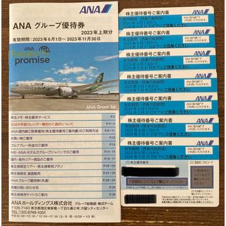 エーエヌエー(ゼンニッポンクウユ)(ANA(全日本空輸))のANA 株主優待券　(その他)