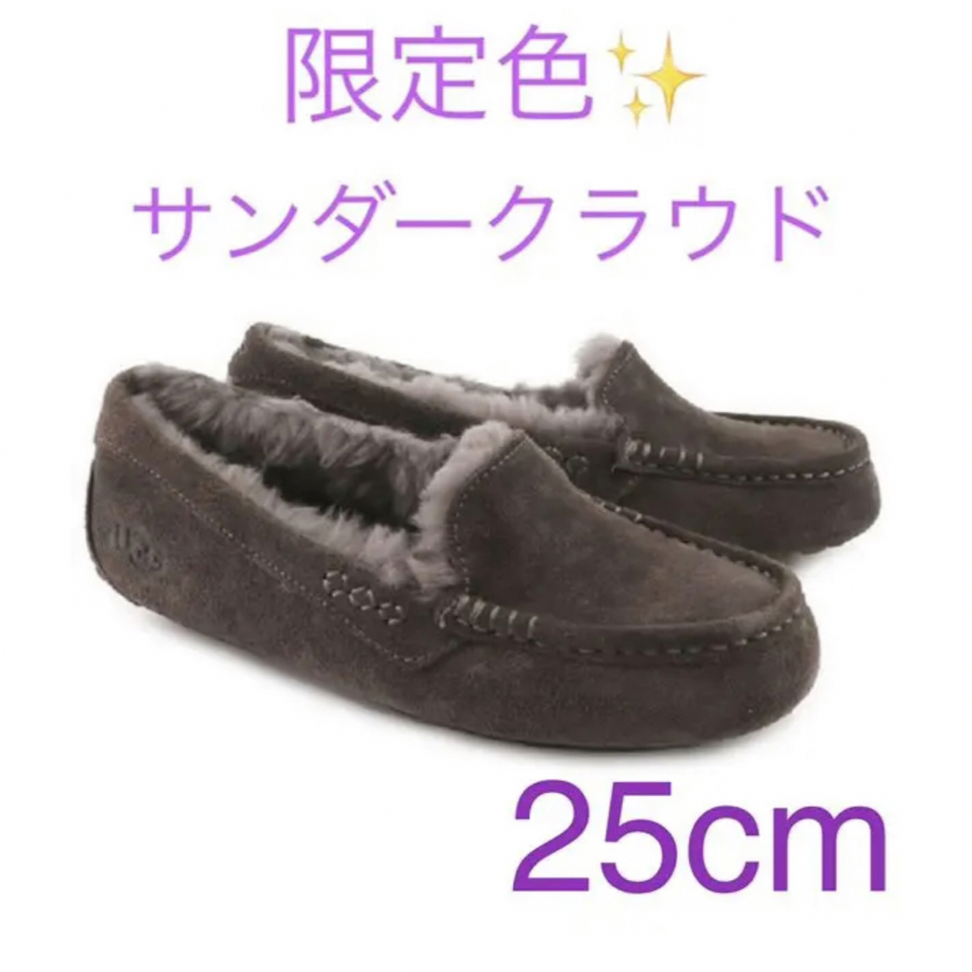 UGG アグ 新品★正規品！ボア ブーツ 26cm★ウォータープルーフＵＳ８キャンプにも♪