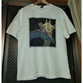 ランズエンド(LANDS’END)の【LANDS END】プリントTシャツ　90s usa製(Tシャツ/カットソー(半袖/袖なし))