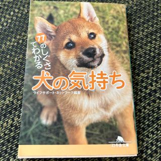 ７７のしぐさでわかる犬の気持ち(その他)