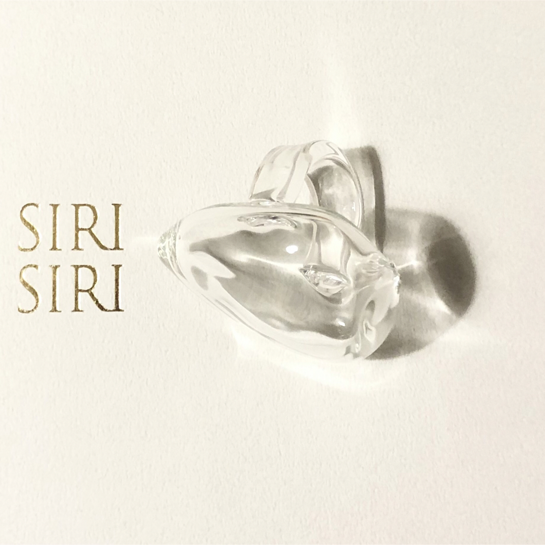 超特価激安 TARO TARO RING SIRI HORIUCHI SIRI × MELTED HORIUCHI