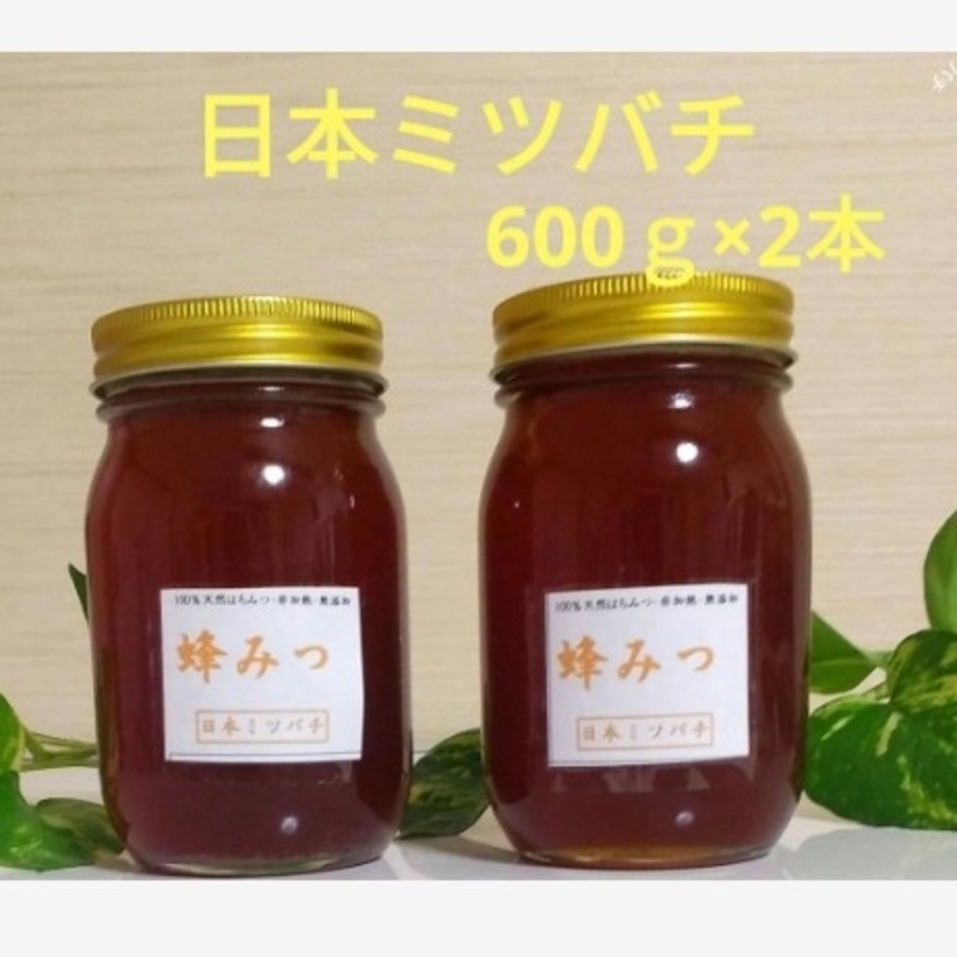 にほんみつばち日本ミツバチの蜂蜜  600g×2本