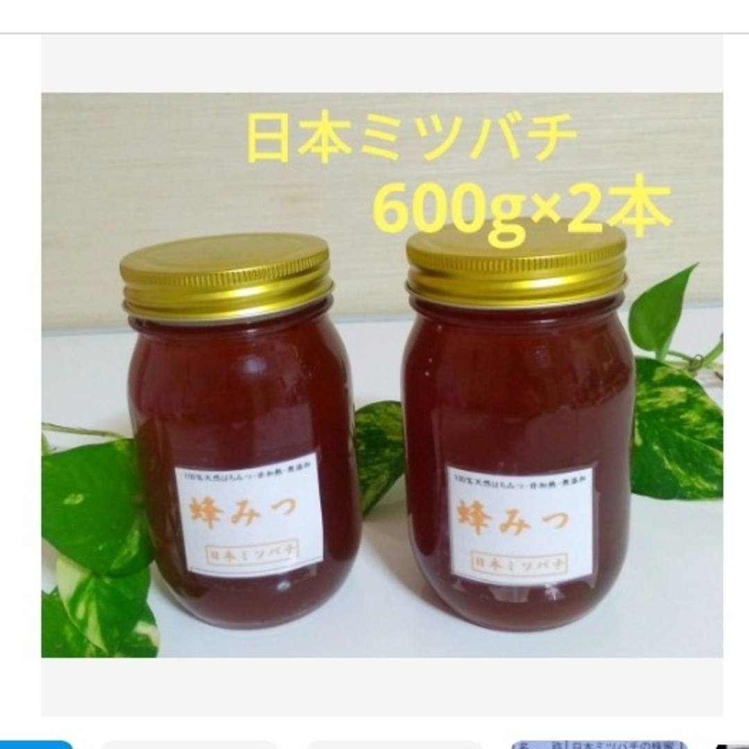 日本ミツバチの蜂蜜  600g×2本 食品/飲料/酒の食品(その他)の商品写真