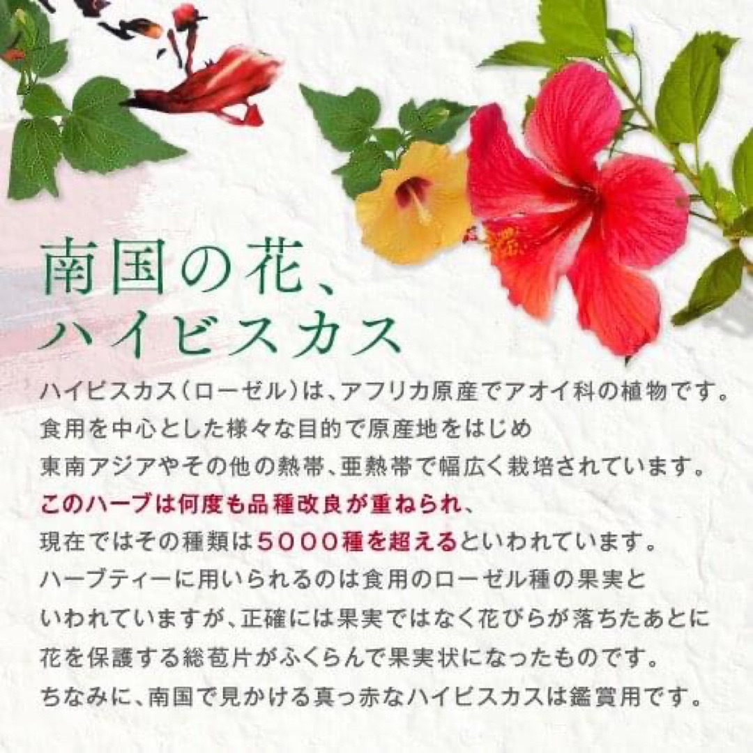 1000円　ぴったり⚫︎ドライハーブ ハイビスカス 100g ■ ハーブティー 食品/飲料/酒の飲料(茶)の商品写真