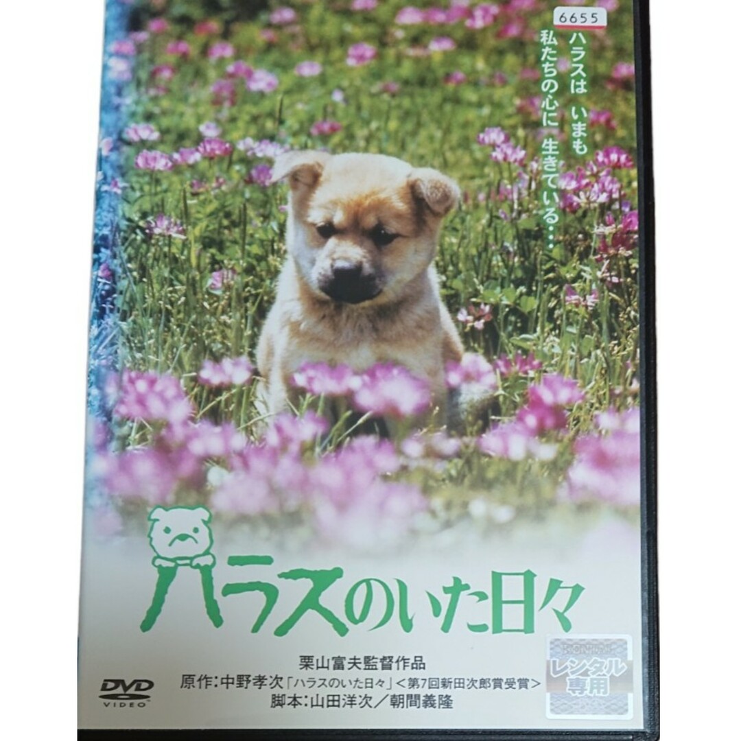 ハラスのいた日々 エンタメ/ホビーのDVD/ブルーレイ(日本映画)の商品写真