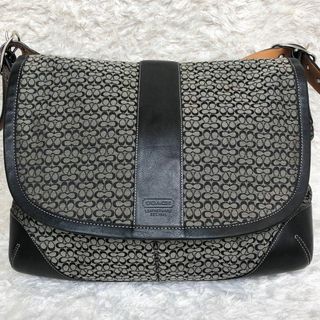 未使用タグ付き♪ COACH ハンドバッグ シグネチャー 即完売カラー A4収納