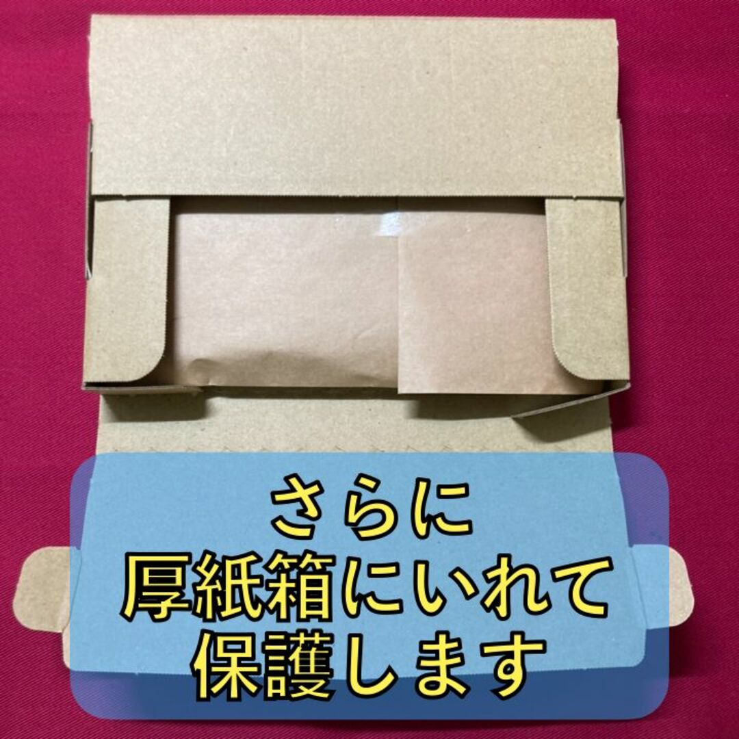 ラウドボーンex／サーナイト ジムバトル優勝デッキ - Box/デッキ/パック