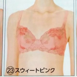 シャルレ(シャルレ)のパレッティブラジャーD75＆ショーツMセット(ブラ&ショーツセット)