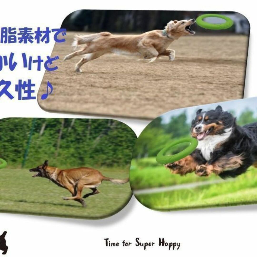 2点セット 犬用 EVA樹脂製フリスビー(S&Lサイズ・オレンジ)噛む