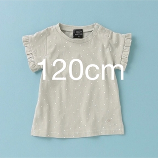プティマイン(petit main)のpetitmain オーガニックコットンTシャツ(Tシャツ/カットソー)