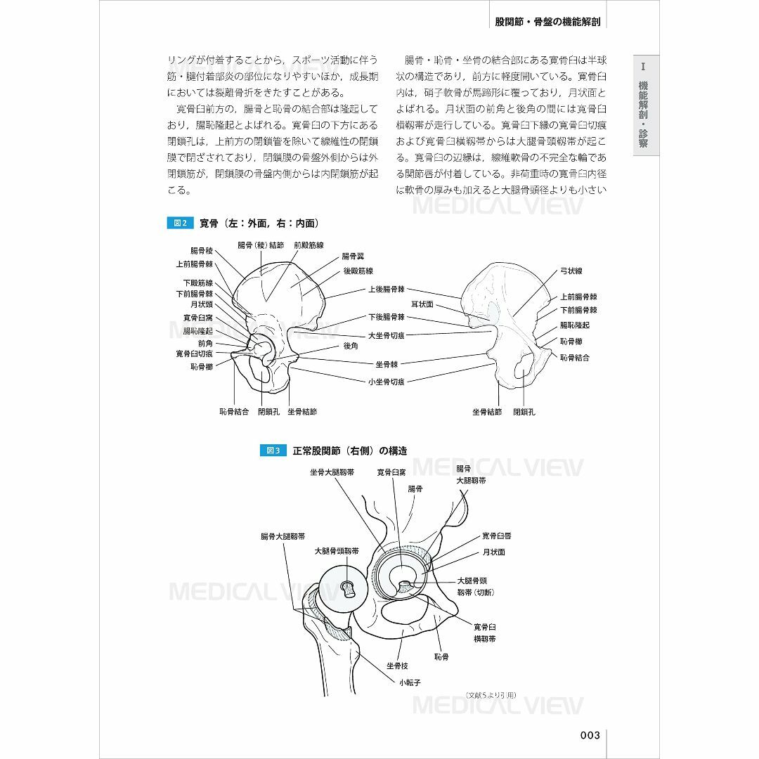 Save the Athlete 股関節スポーツ損傷 エンタメ/ホビーの本(健康/医学)の商品写真