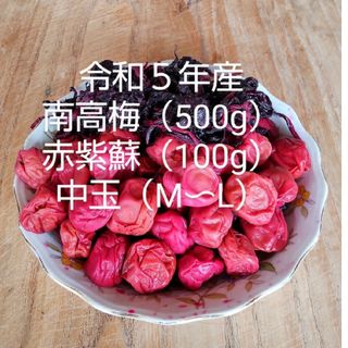 【ワン吉様専用】南高梅干し　中玉【M〜L】（500g）赤紫蘇（100g）✕２(漬物)