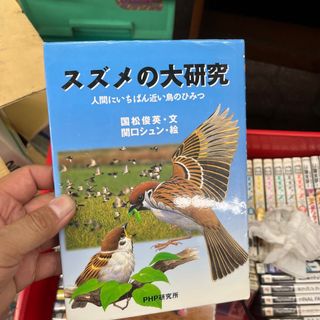 スズメの大研究 人間にいちばん近い鳥のひみつ(絵本/児童書)