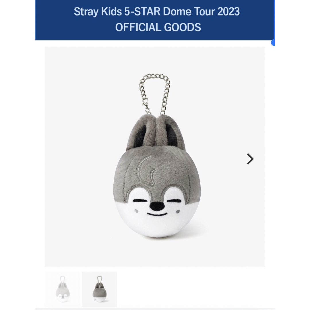 Stray Kids   Stray Kids SKZOO バッグチャーム 気球 ８体セットの通販