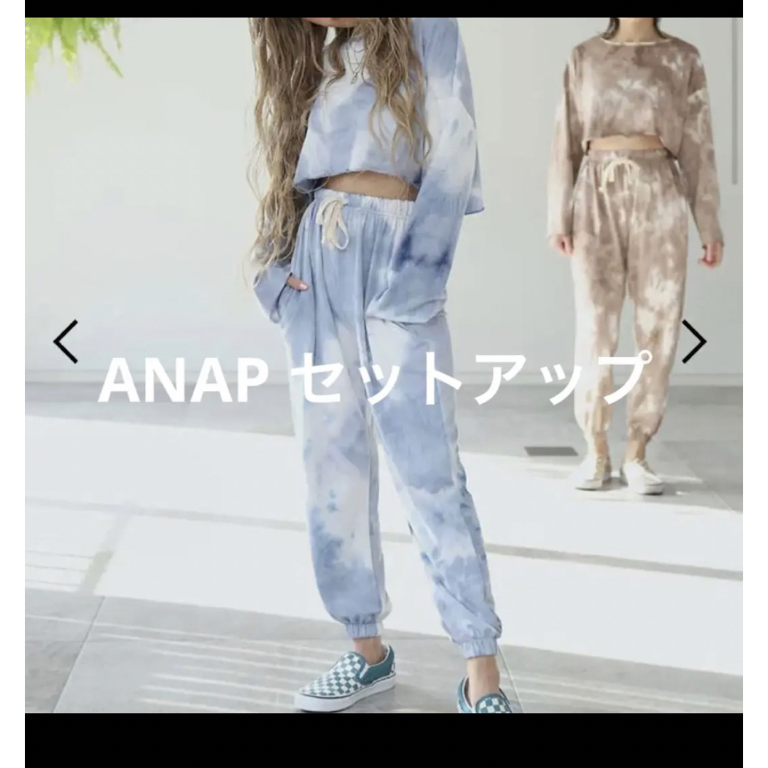 ANAP セットアップ