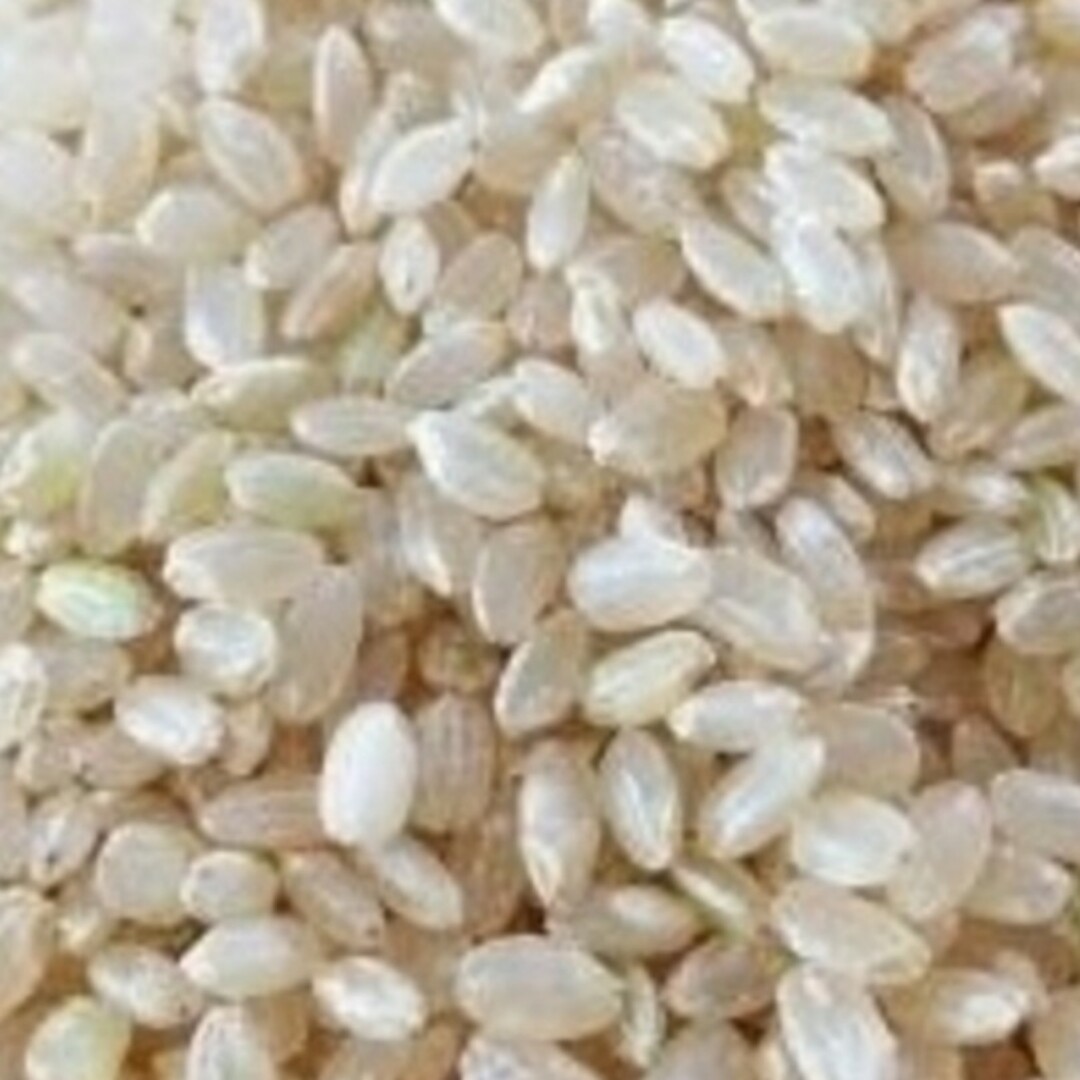 お米20kg　令和4年魚沼産コシヒカリ　玄米-