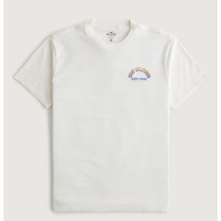 ホリスター(Hollister)のWEST HOLLYWOOD AUDIO-VISUAL グラフィックTシャツ (Tシャツ/カットソー(半袖/袖なし))