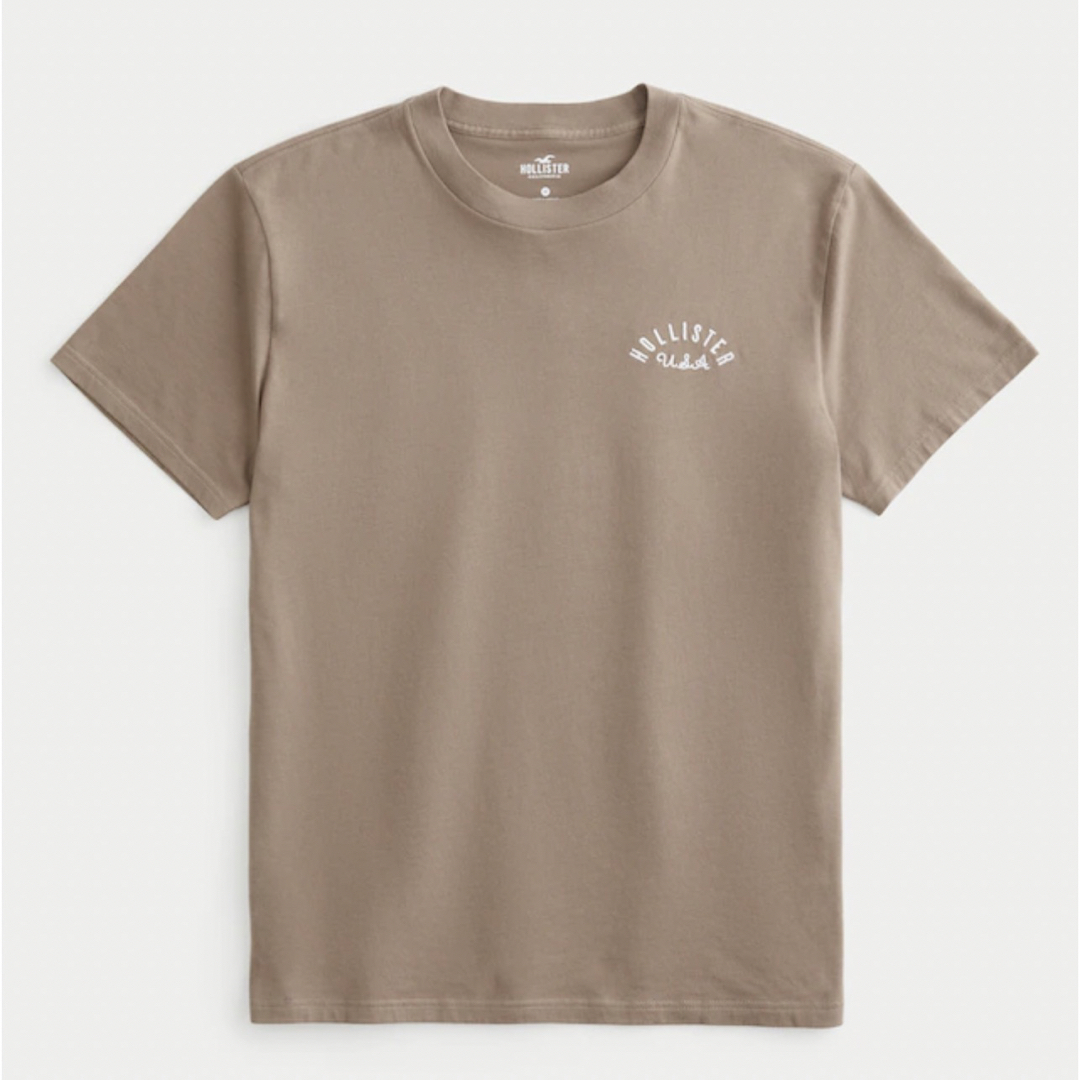 Hollister(ホリスター)のHOLLISTER ロゴグラフィックTシャツ XL メンズのトップス(Tシャツ/カットソー(半袖/袖なし))の商品写真