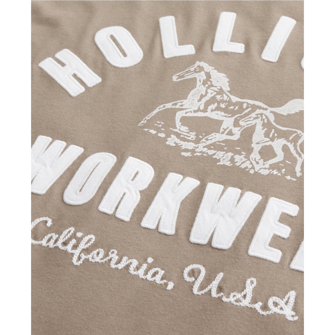 Hollister(ホリスター)のHOLLISTER ロゴグラフィックTシャツ XL メンズのトップス(Tシャツ/カットソー(半袖/袖なし))の商品写真