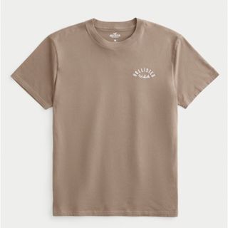 ホリスター(Hollister)のHOLLISTER ロゴグラフィックTシャツ XL(Tシャツ/カットソー(半袖/袖なし))