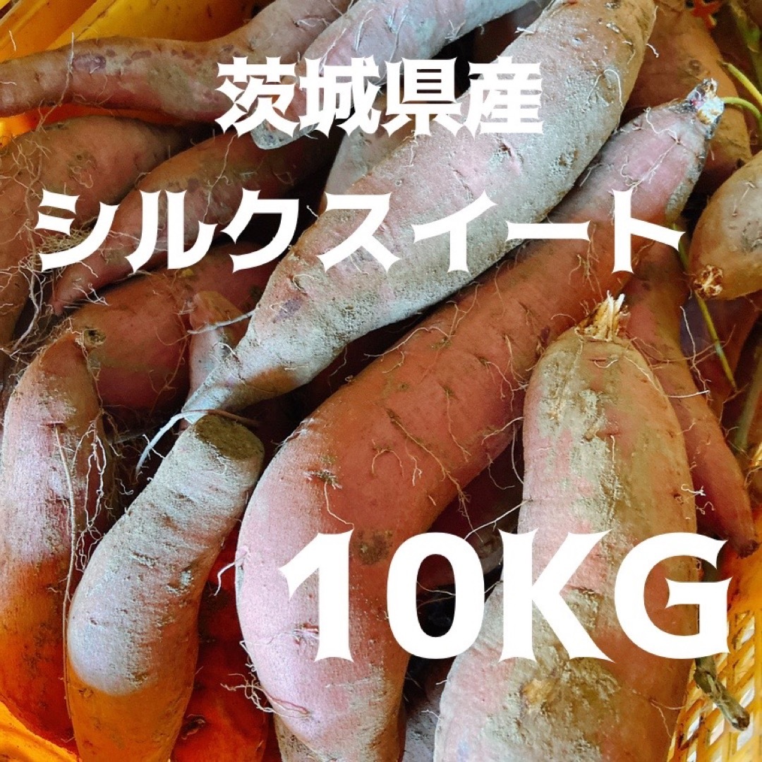 りょーさん's　10kg　シルクスイート　shop｜ラクマ　さつまいもの通販　干し芋　土付き　焼き芋　サイズ不選別　by