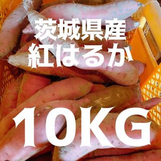 紅はるか 10kg 土付き サイズ不選別 焼き芋 干し芋 さつまいも(野菜)