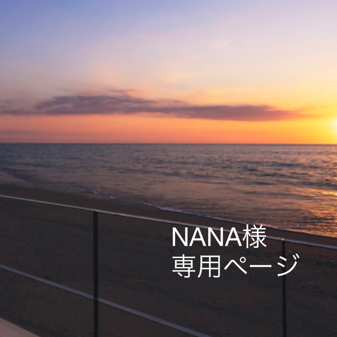 NANA様　専用ページ レディースのファッション小物(キーホルダー)の商品写真