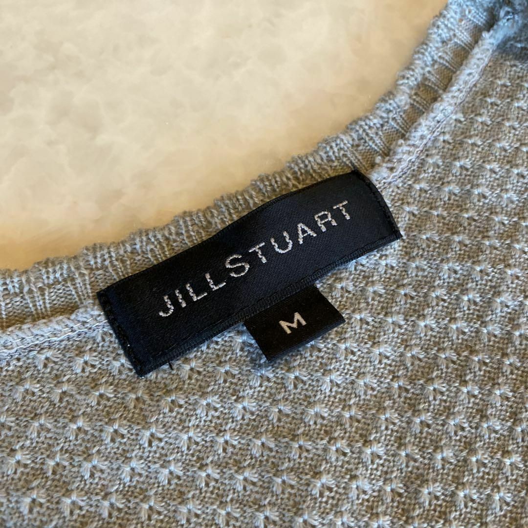 JILLSTUART(ジルスチュアート)のJILLSTUART(ジルスチュアート)半袖ニット レースリボン グレー レディースのトップス(ニット/セーター)の商品写真