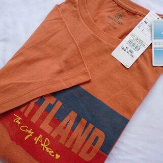 メンズ Mサイズ 綿 オレンジ Tシャツ ドライ　0272(Tシャツ/カットソー(半袖/袖なし))