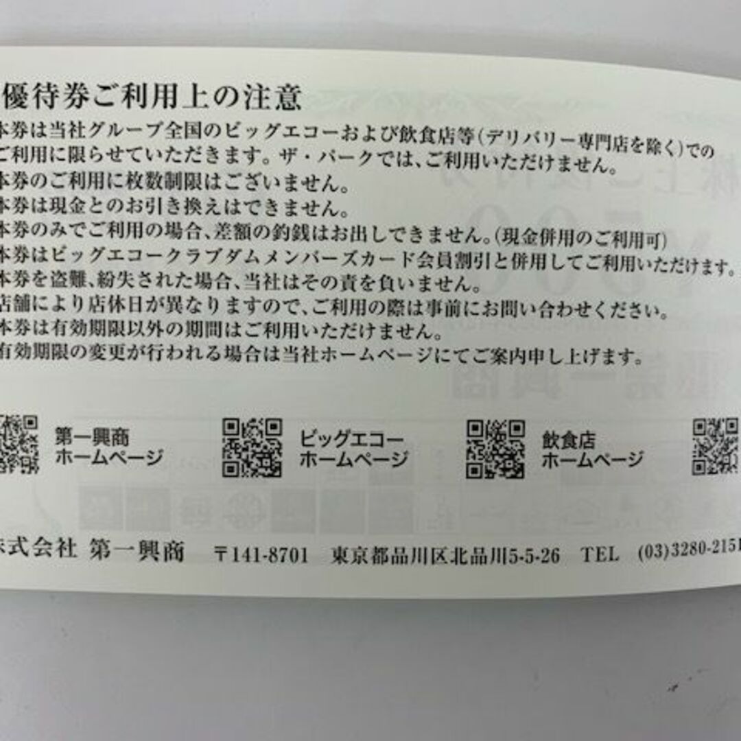 第一興商株主優待券（5千円分）ビックエコー 有効期限:2023年12月31日 ...