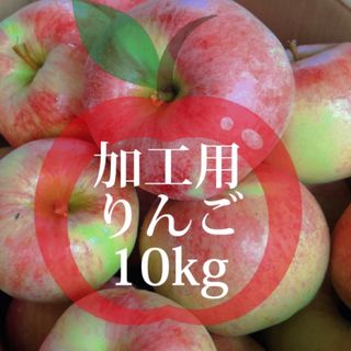 【産地直送】青森県産りんご  加工用  10kg(フルーツ)