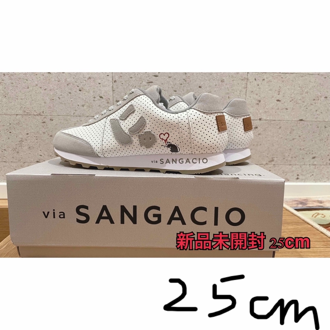 via SANGACIO×BRANDALISED　バンクシー限定　スニーカー