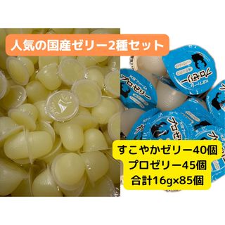 KBファーム　すこやかゼリー&プロゼリー85個 (虫類)