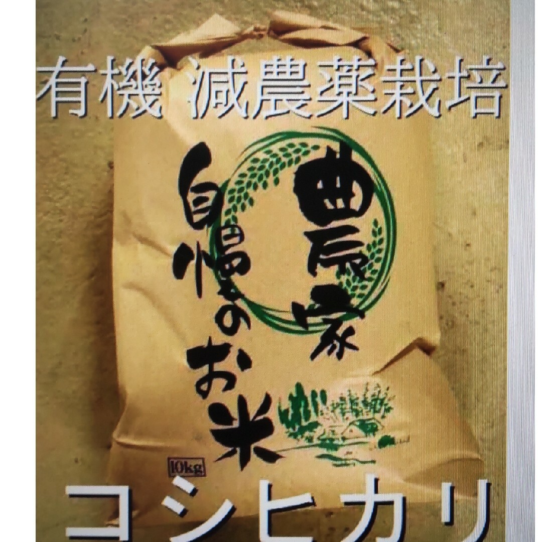 有機減農薬栽培　管理番号4　新米コシヒカリ福井県産の令和５年産　玄米10kg　米