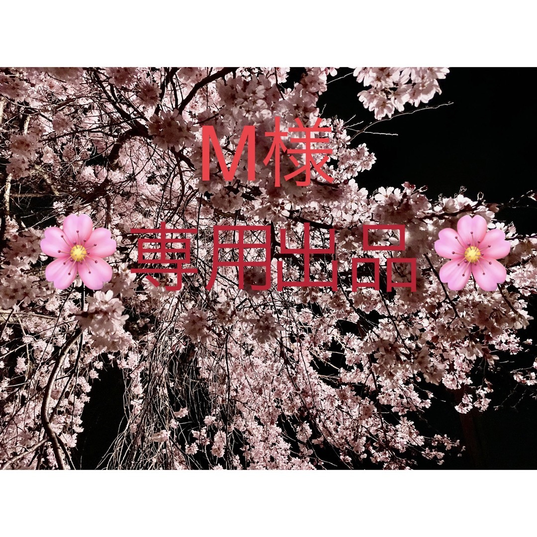M様専用出品です🌸の通販 by ヒーリングと鑑定のお店|ラクマ