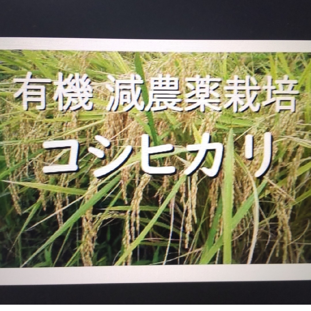 有機減農薬栽培　玄米25kg　新米コシヒカリ福井県産の令和５年産　管理番号4-