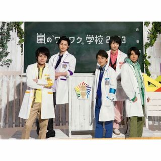 アラシ(嵐)の嵐 ワクワク学校 2013 グッズ 下敷き(アイドルグッズ)