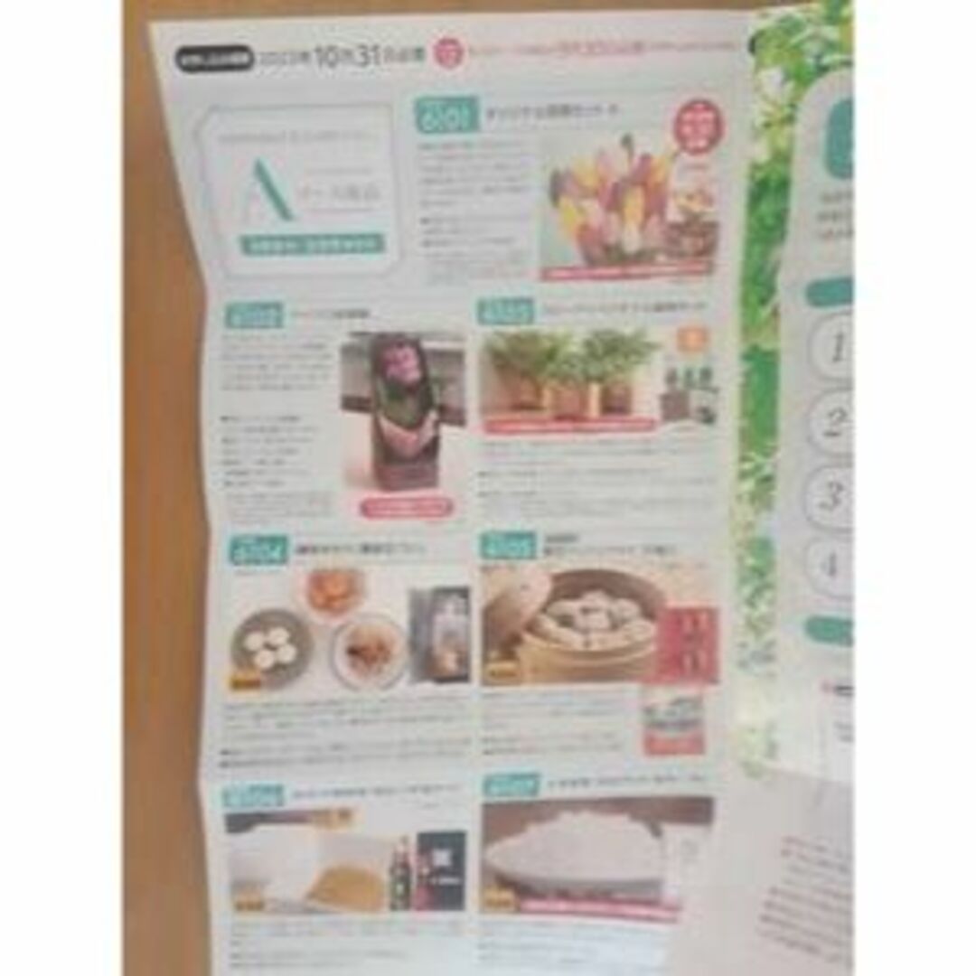 サカタのタネ株主優待券Aコース チューリップ球根 マイクロ胡蝶蘭 栽培キット チケットの優待券/割引券(その他)の商品写真
