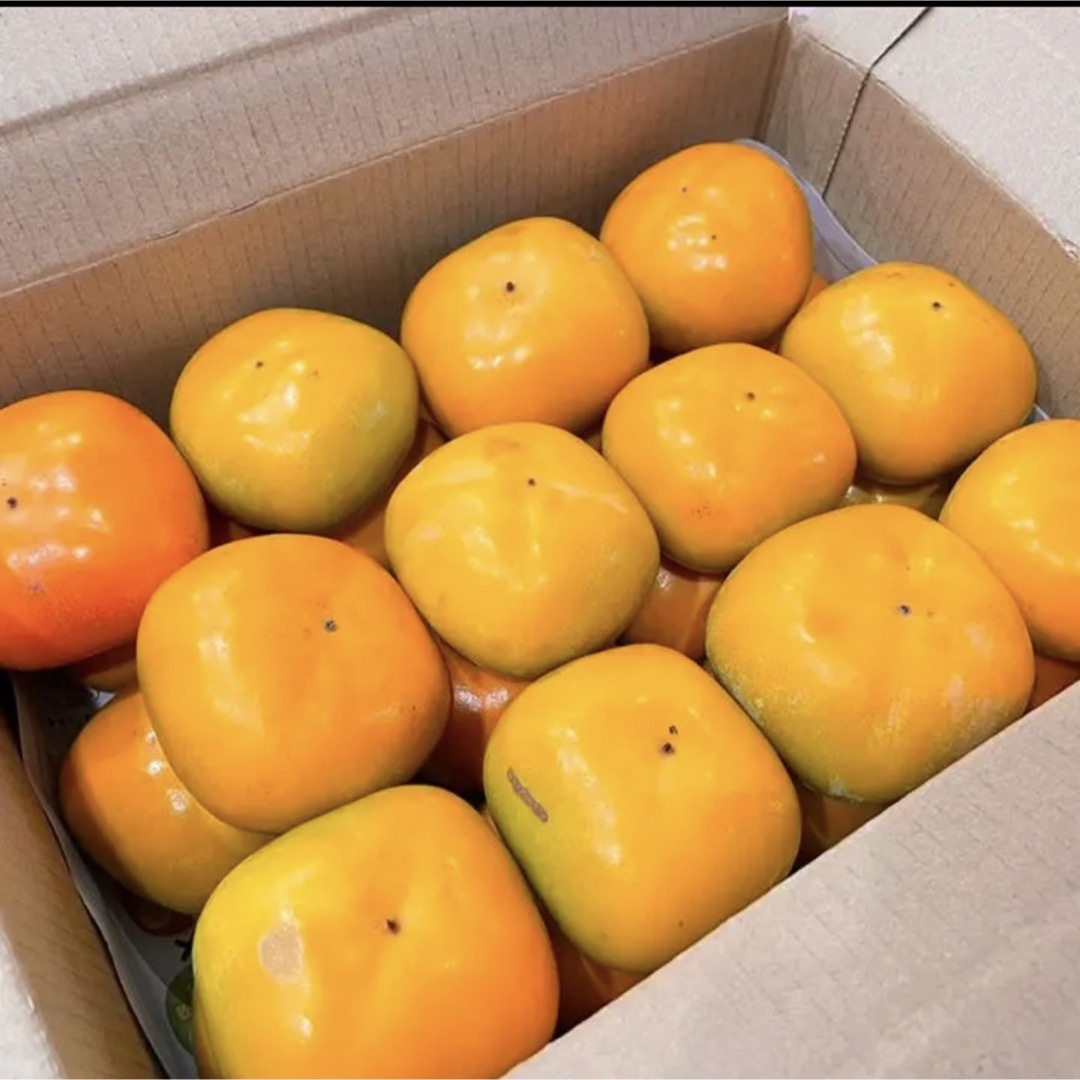 和歌山県産　種無し柿　たねなし柿　箱込み４kg以上 食品/飲料/酒の食品(フルーツ)の商品写真