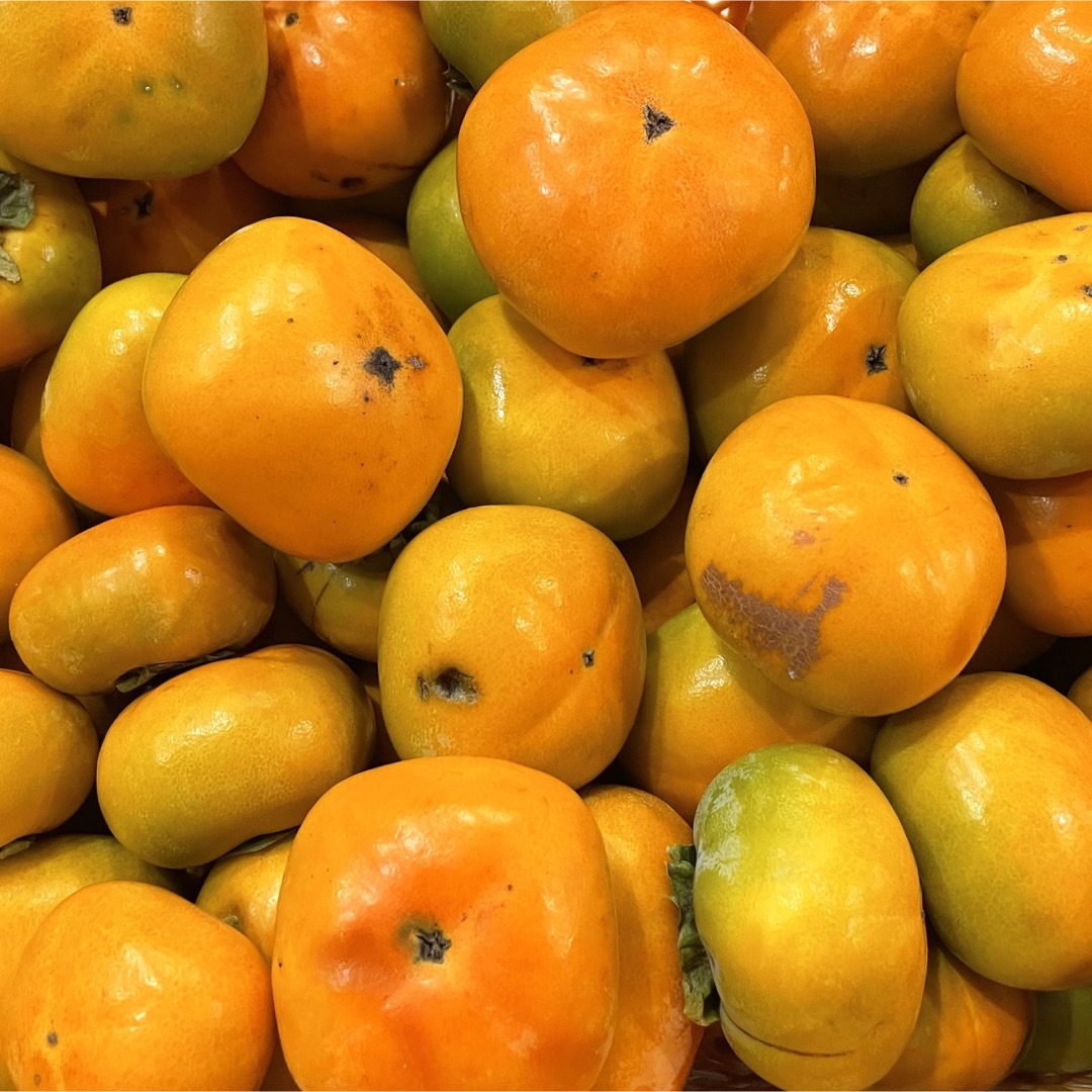 和歌山県産　種無し柿　たねなし柿　箱込み４kg以上 食品/飲料/酒の食品(フルーツ)の商品写真