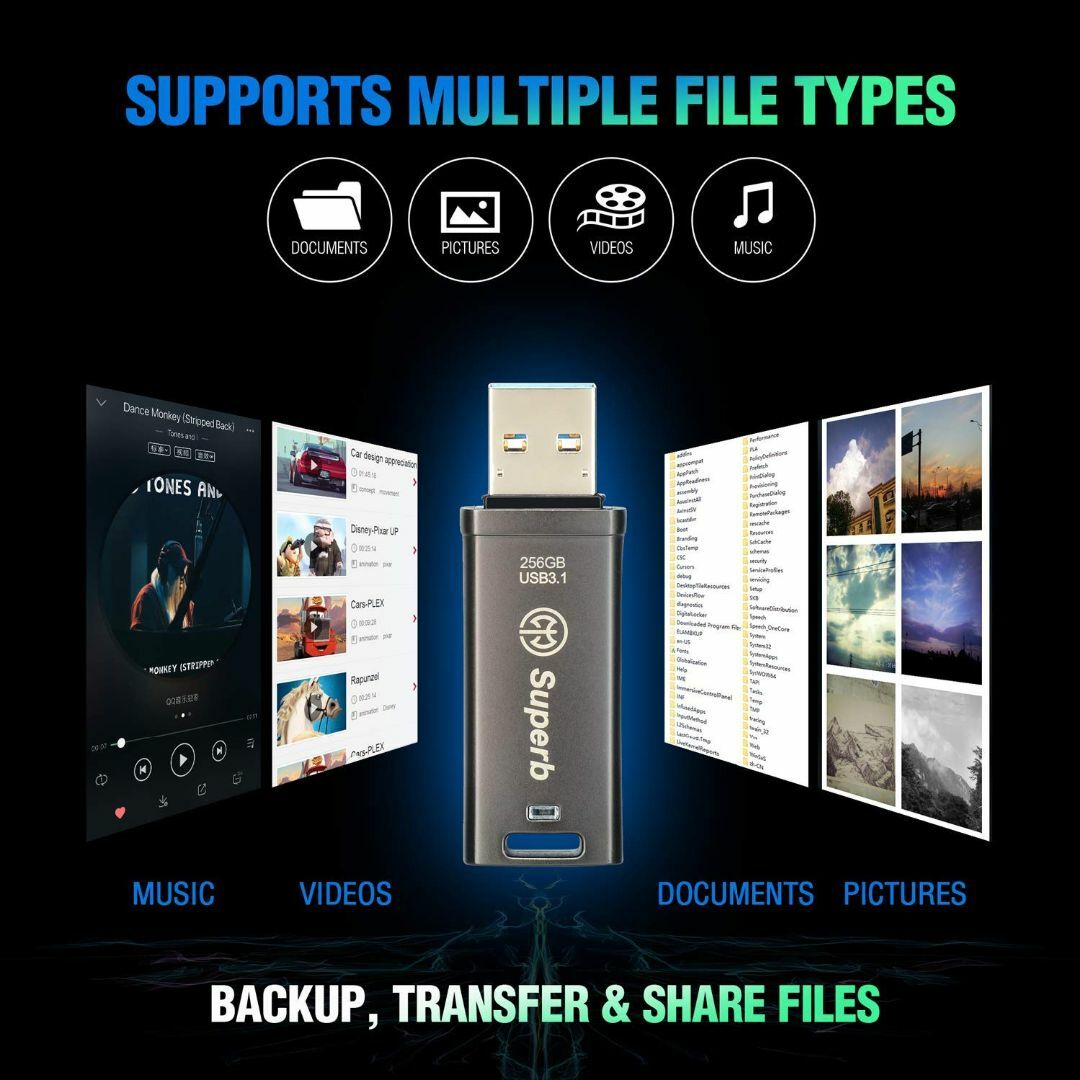 【サイズ:256GB_色:ガンメタルグレー】アクスSUPERB USBメモリ 2 4