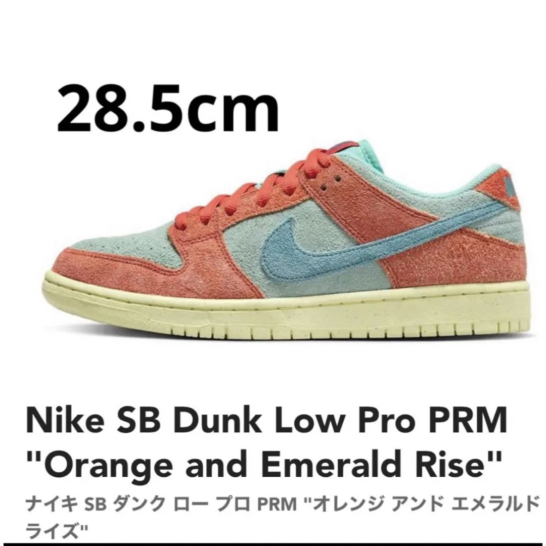 NIKE SB DUNK LOW PRO PRM 10.5 28.5cm 新品