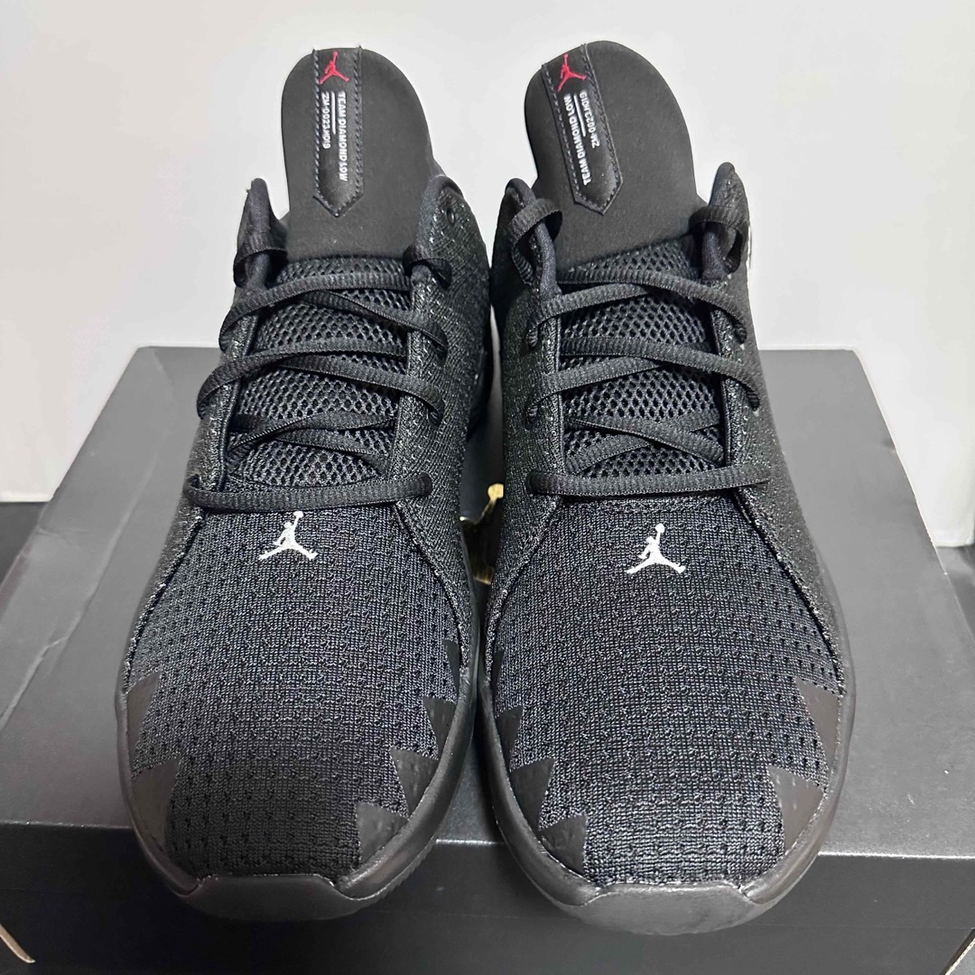 Jordan Brand(NIKE) - 【希少!人気モデル】新品未使用JUMPMAN