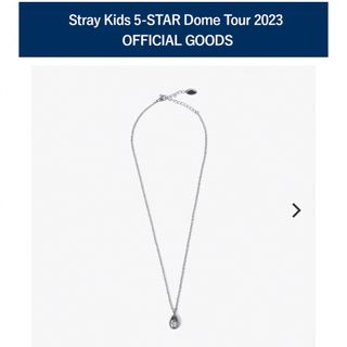 Stray Kids Dome Tour グッズ ハン プロデュース バッグ