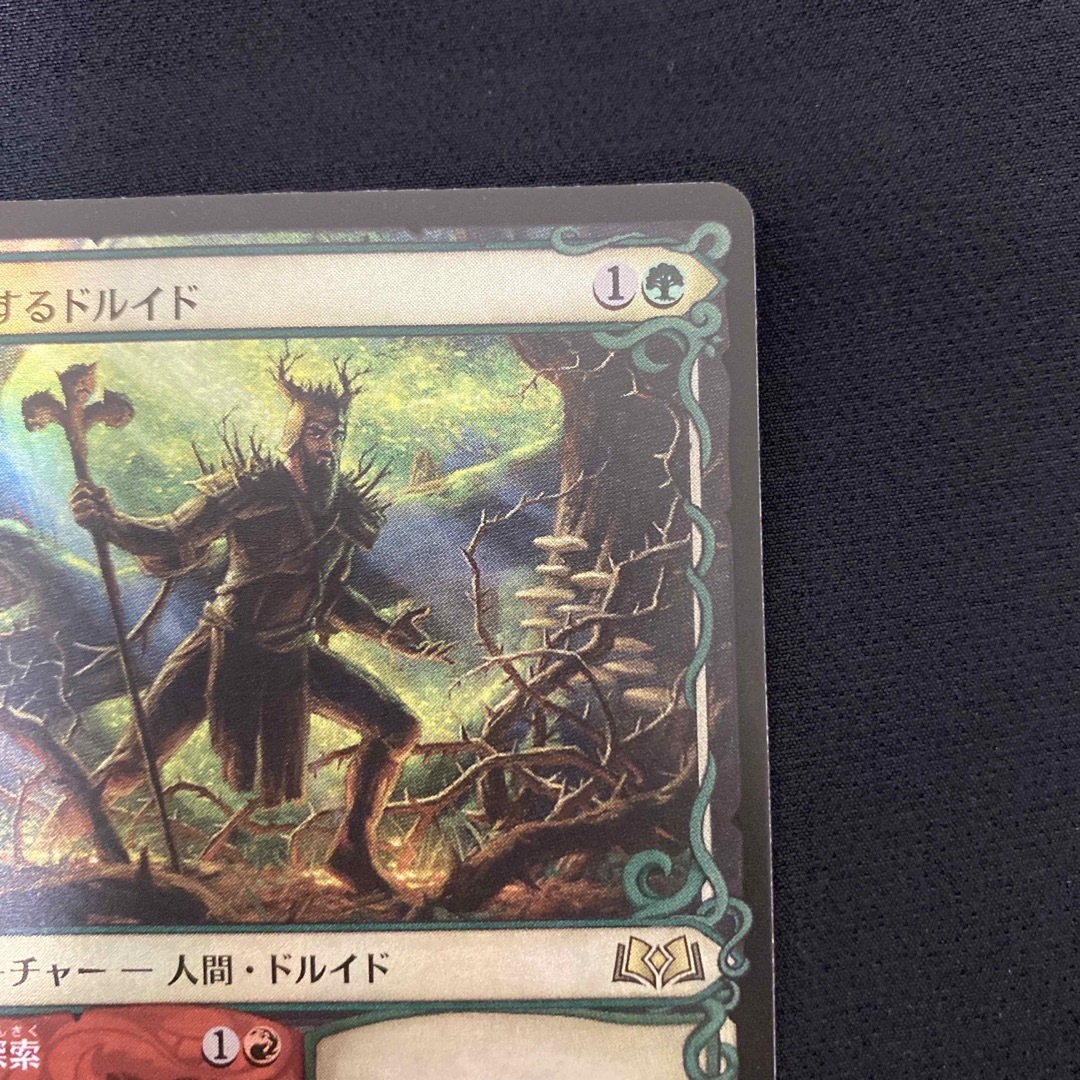 MTG 探索するドルイド 日本語 4枚セット - マジック：ザ・ギャザリング