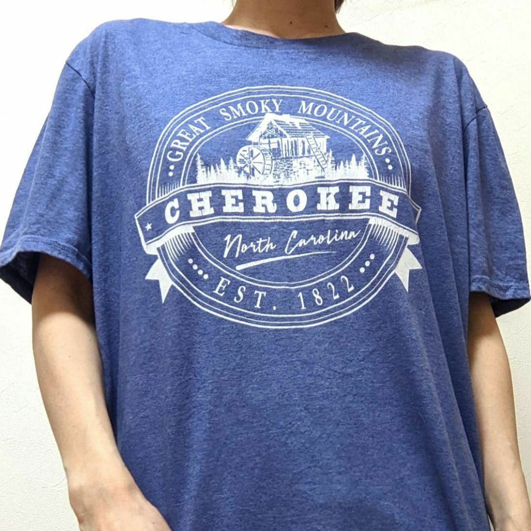 Anvil - アンビル グレートスモーキーマウンテン チェロキー Tシャツ
