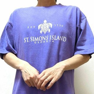 カラートーン セントシモンズアイランド ウミガメ Tシャツ パープル紫色古着(Tシャツ/カットソー(半袖/袖なし))