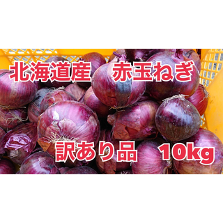 北海道産　赤玉ねぎ　訳あり品　10kg(野菜)