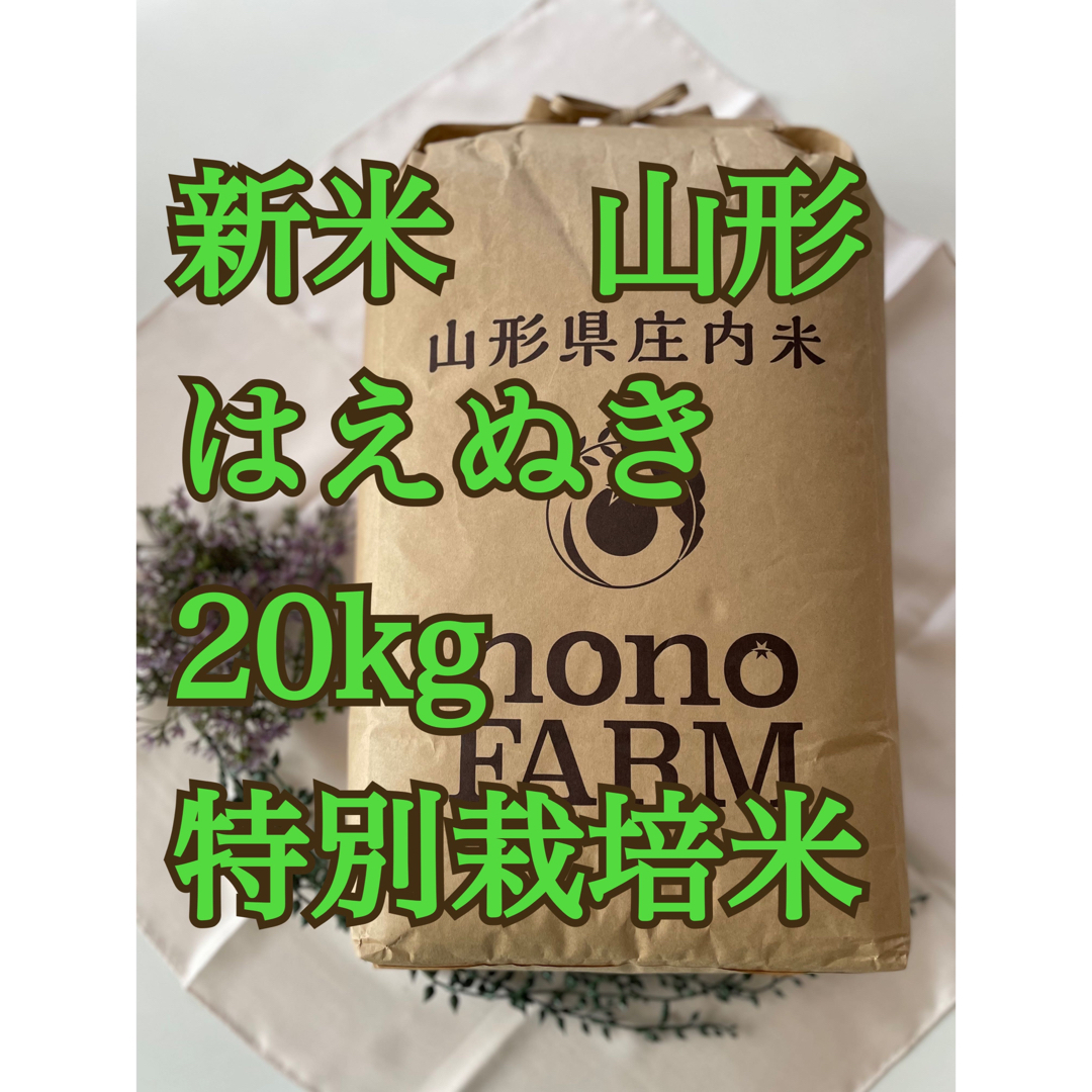山形　令和5年　新米　はえぬき　特別栽培米　20kg　米/穀物