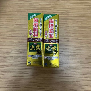 小林製薬 - 小林製薬 生葉 EX 歯磨き粉 試供品×2個 の通販 by ...